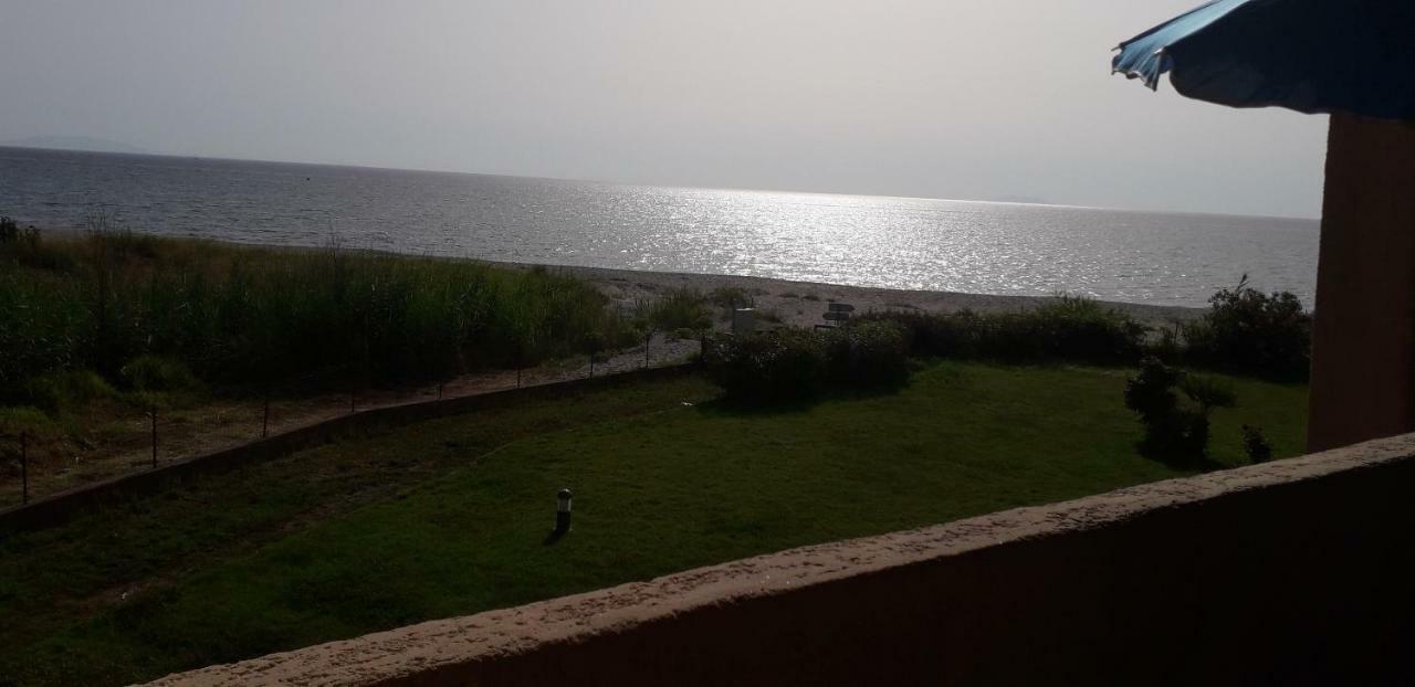 Apartamento Cala Di Sognu Moriani Plage Exterior foto